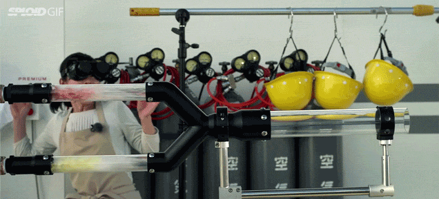 A gun machine that shoots dumplings together would be the greatest thing