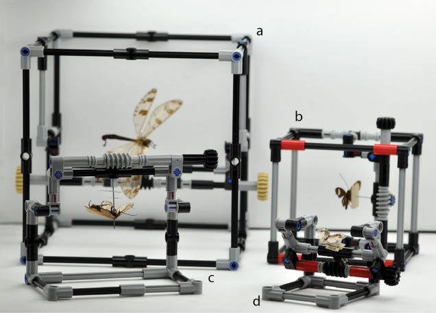 Researchers in London Are Using Lego Bricks On Its Bug Specimens