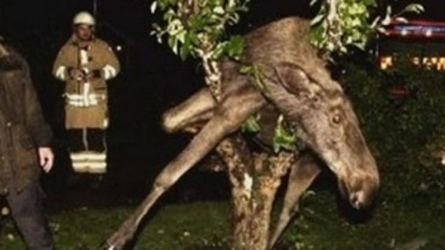 io9 Roundup: September 11, 2011