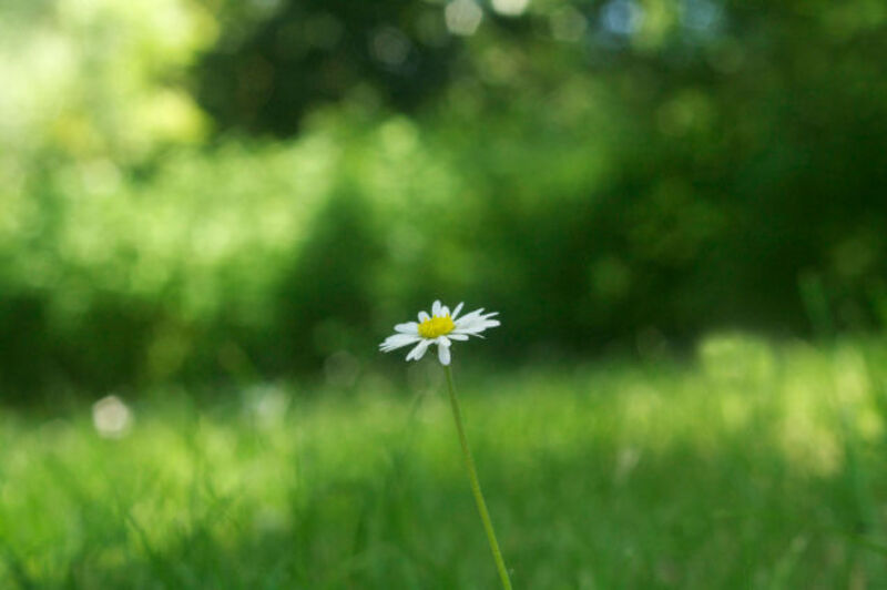 The Wrong Way to Plan for the Future