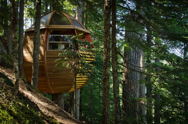 Las casas más fascinantes construidas sobre los árboles