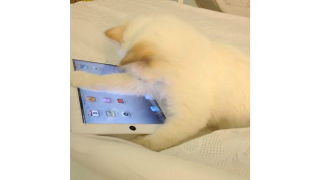 H&M Makes Model Look Really, Really, Really Tan