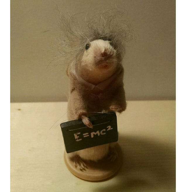 Reviews of an Etsy Seller Who Poses Dead Mice As Pop Culture Icons