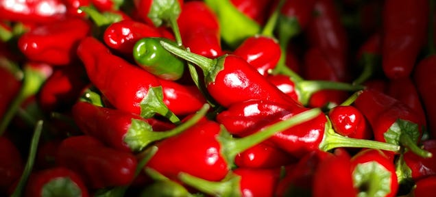 How Chilies Can Be Used to Treat Pain