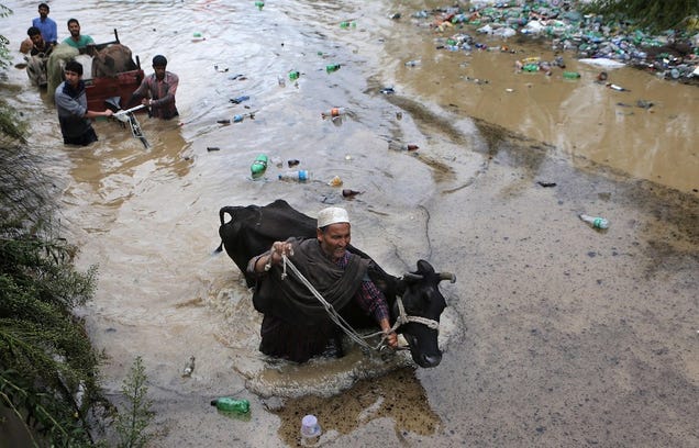 Monsoons Leave Hundreds Dead in Pakistan and India