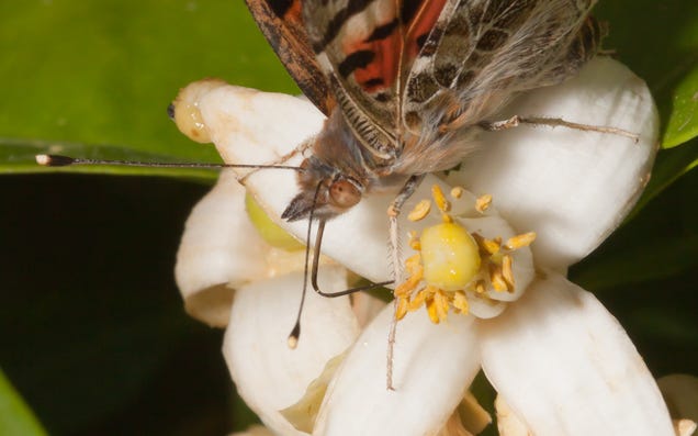 Shooting Challenge: Spring Gallery 2