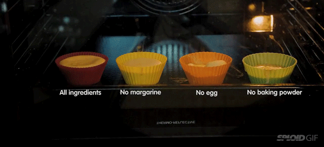 See the difference that one missing ingredient can have in baking a cake