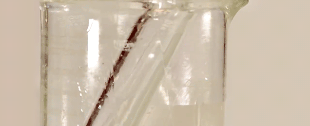Here's an easy trick to make glass totally invisible