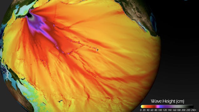 Japan's Devastating Earthquake: What We Know And How You Can Help
