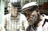 Movie Version Of Blindness Wrecks A Classic Novel, Say Critics