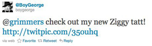 Martha Stewart's Dogs Hijack Her Twitter Account