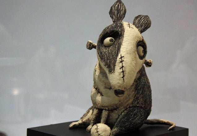 Tim Burton shows his childhood scars in Frankenweenie