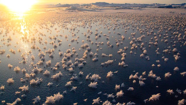 The 100 Most Astonishing Images of 2012