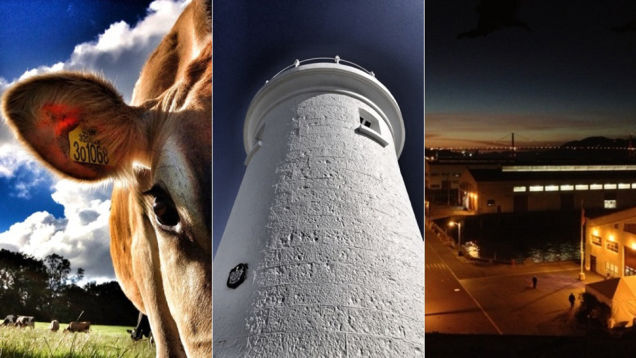 Dear Apple, Let’s Talk About Photos