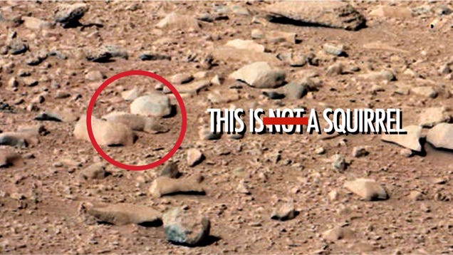 NASA totally found a squirrel on Mars and didn't tell anybody