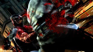 These Ninja Gaiden 3 Screenshots Aren't For the Squeamish