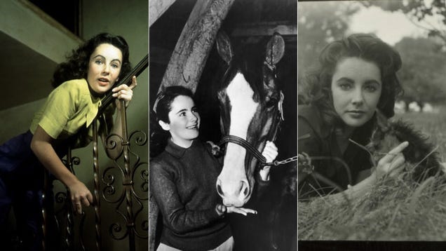 Elizabeth Taylor's Life In Front Of The Camera