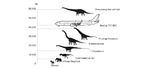 The Size of Dinosaurs Compared to Airplanes, Visualized