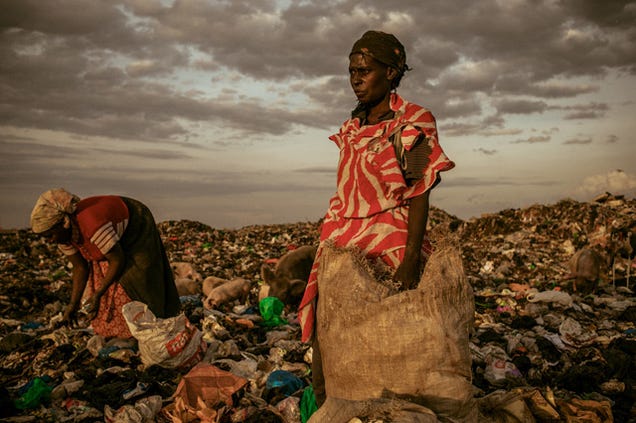 The winning images from Nat Geo's 2012 Photography Competition will blow you away