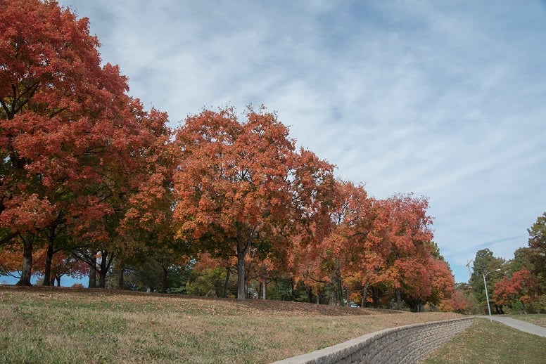 48 Photos Of Autumn Around The World