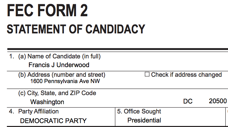 Vote for One of These Underdog Candidates This Election Day
