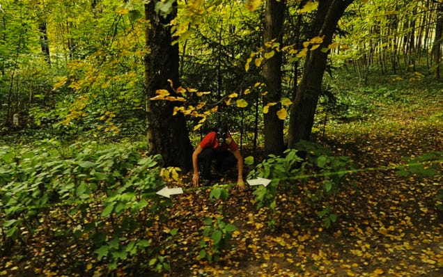 Weirdo Google Street View scenes invade the realm of high art