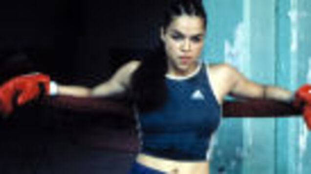 Evolution is steered by aggressive competition between females