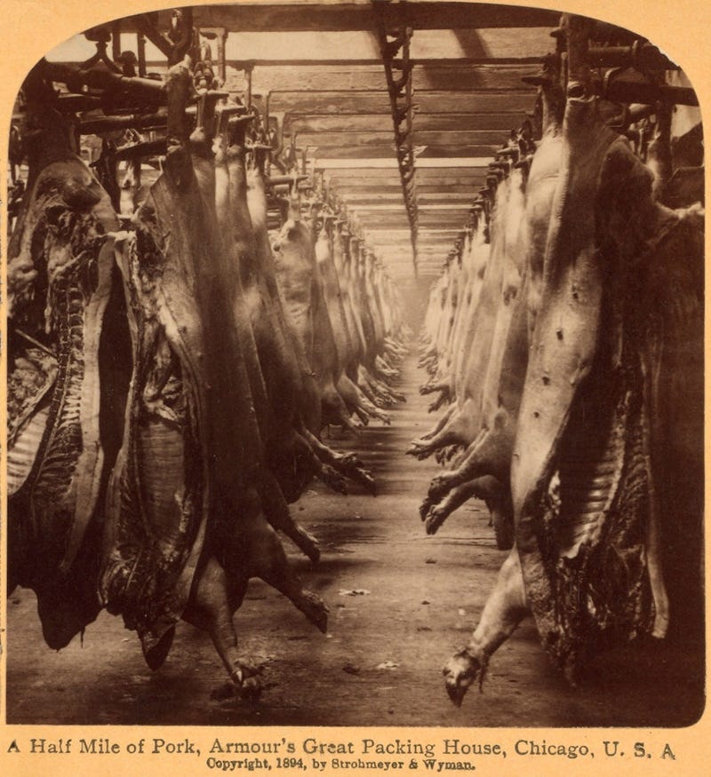 utterly-disturbing-century-old-photos-of-meat-packing-facilities