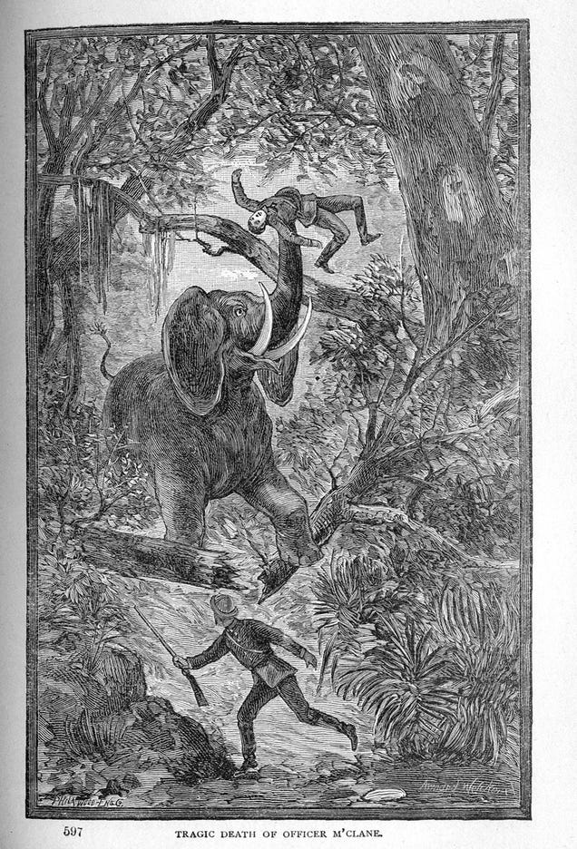 This gruesome 1889 biology book outlined the many ways animals will kill us