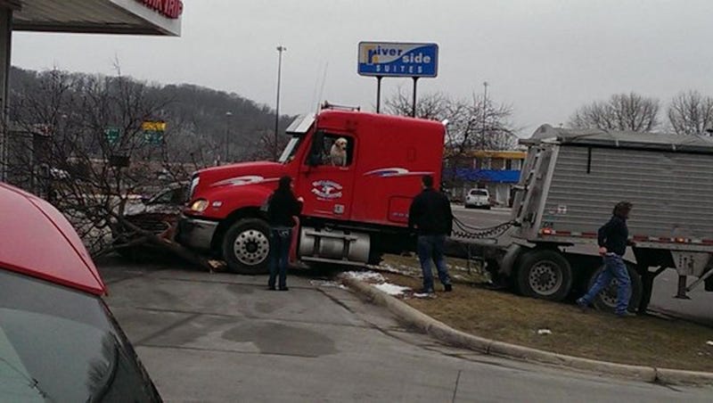 Dog Takes Semi Truck On Joyride, Crashes Into A Tree And A Parked Car