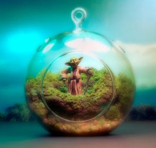 Star Wars terrariums bring a little piece of Dagobah into your home