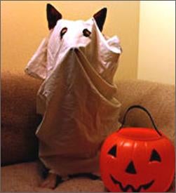 Prepare For The Lamest Halloween Ever