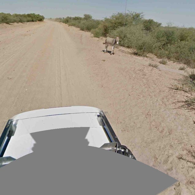 Google Street View Car Not Guilty of Donkey Murder