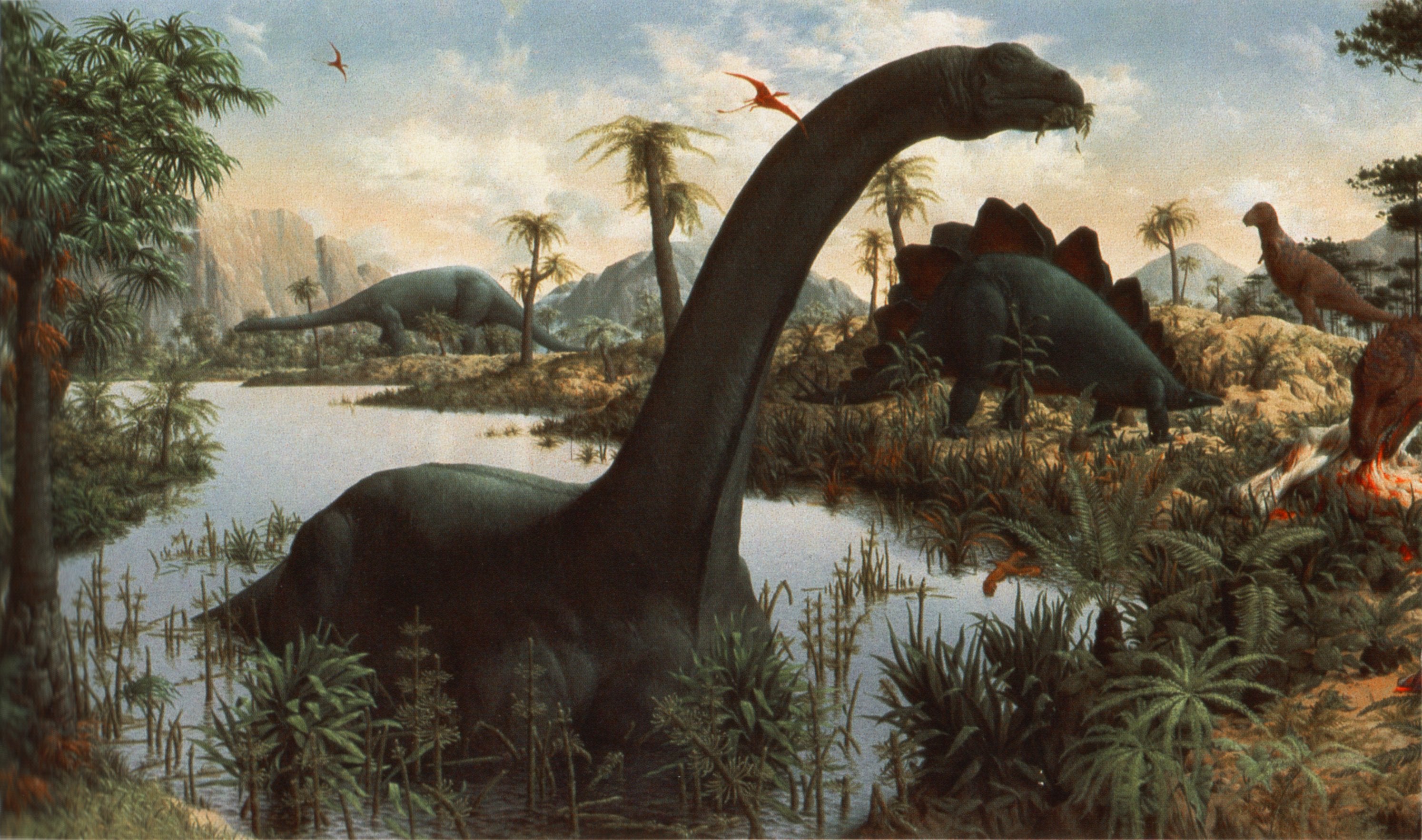 brontosaurus rex dinosaur