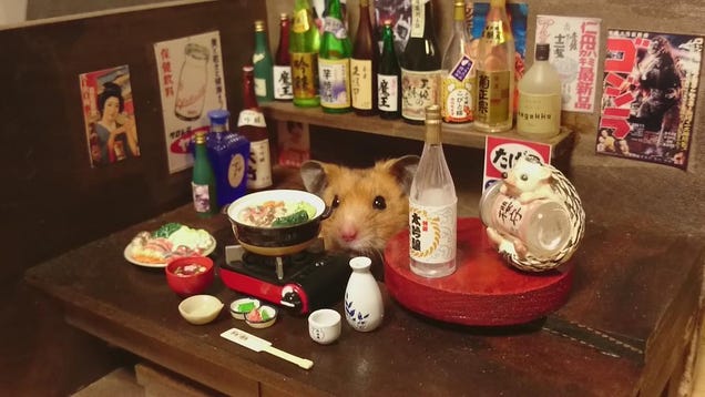 Hamsters japoneses =^_^=