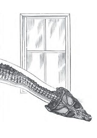 How the Democrats Tried to Destroy Dinosaur Art