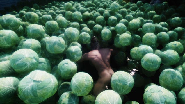 The Magic of Skyrim Mods: A Naked Man Swimming in Cabbage