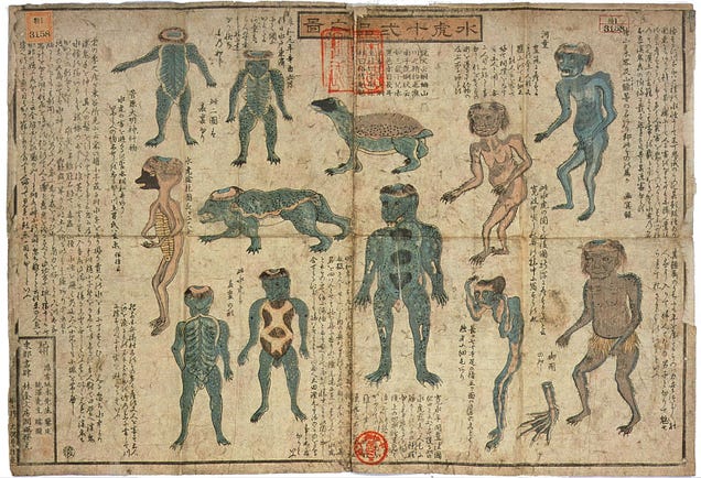 The Bones of A Mythical Japanese Water Demon Are Going On Display