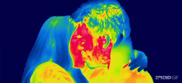 What everyday life looks like under a heat detecting camera (NSFW)