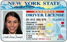 template new york drivers license photoshop