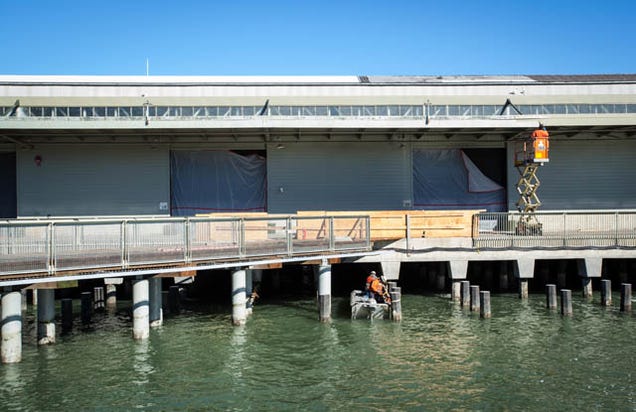 Exploratorium Reborn: Inside San Francisco's New Innovation Shrine