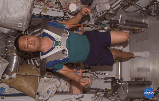 Sex In Space: When's Someone Gonna Get Freaky in Zero G?