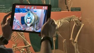 The Smithsonian's New App Brings Museum Skeletons and Fossils To Life