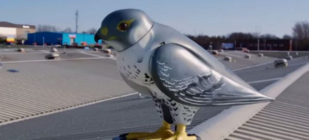 Robotic Birds Are the (Ridiculously Expensive) Modern-Day Scarecrows