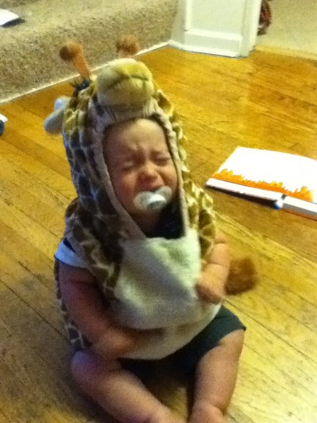 The Many Reasons This Guy's Son Is Crying Are All Guaranteed to Cheer You Up