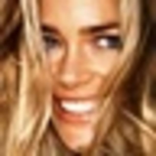 Denise Richards Is Writing A Book