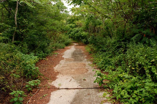 Take a stroll down Staten Island's freeway to nowhere