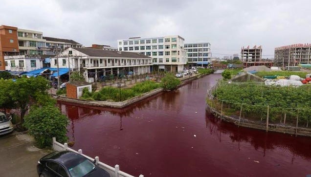 River in China mysteriously turns blood-red overnight