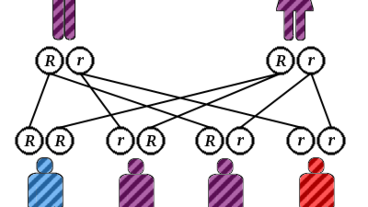 Why inbreeding really isn't as bad as you think it is
