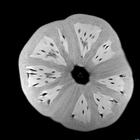 What do fruits and vegetables look like inside an MRI? Short answer: "Whoa."